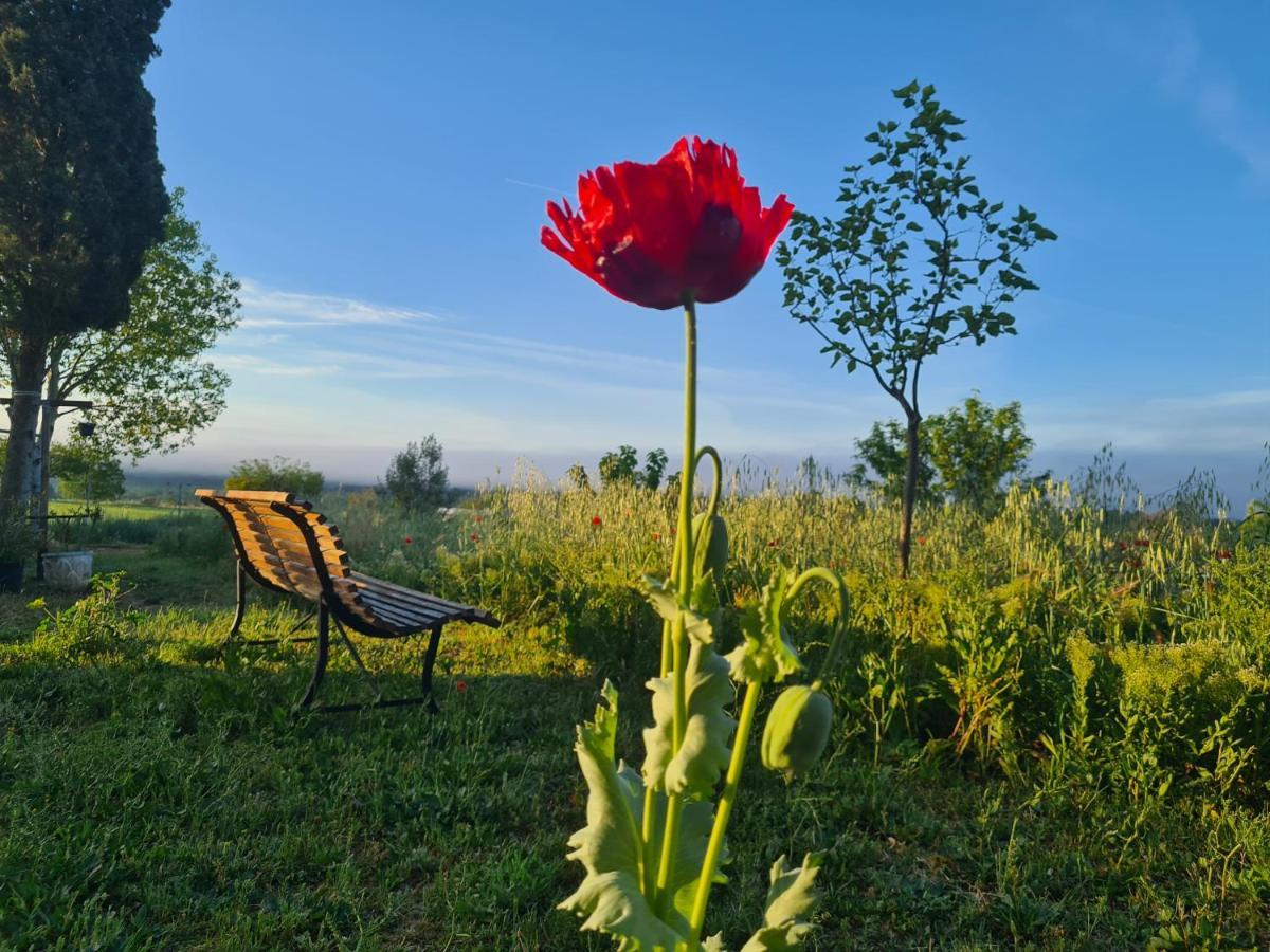 La Ferme Constantin Villa ฟายองซ์ ภายนอก รูปภาพ