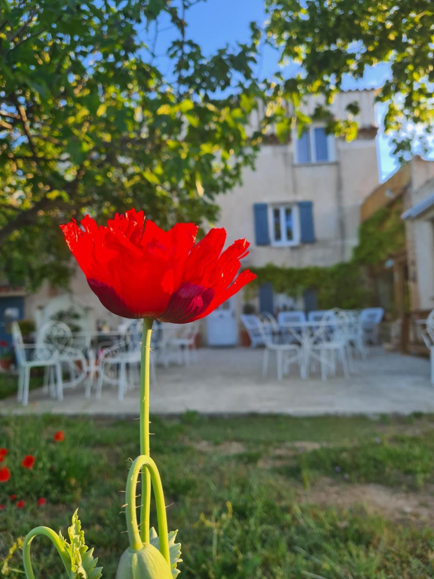 La Ferme Constantin Villa ฟายองซ์ ห้อง รูปภาพ